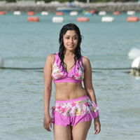 Payal Ghosh hot n spicy bikini gallery | Picture 71861